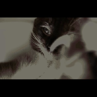 Zly, ze az wsiekly.jpg